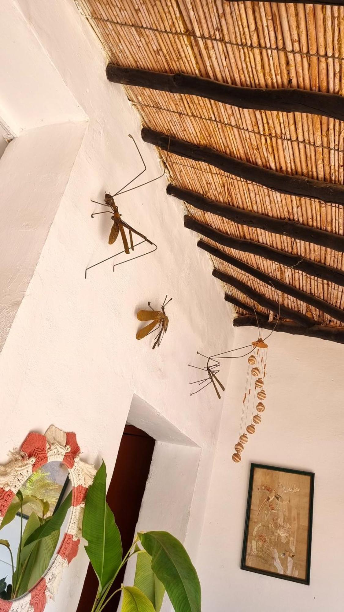 La Casona Espacio Bonito サパトカ エクステリア 写真