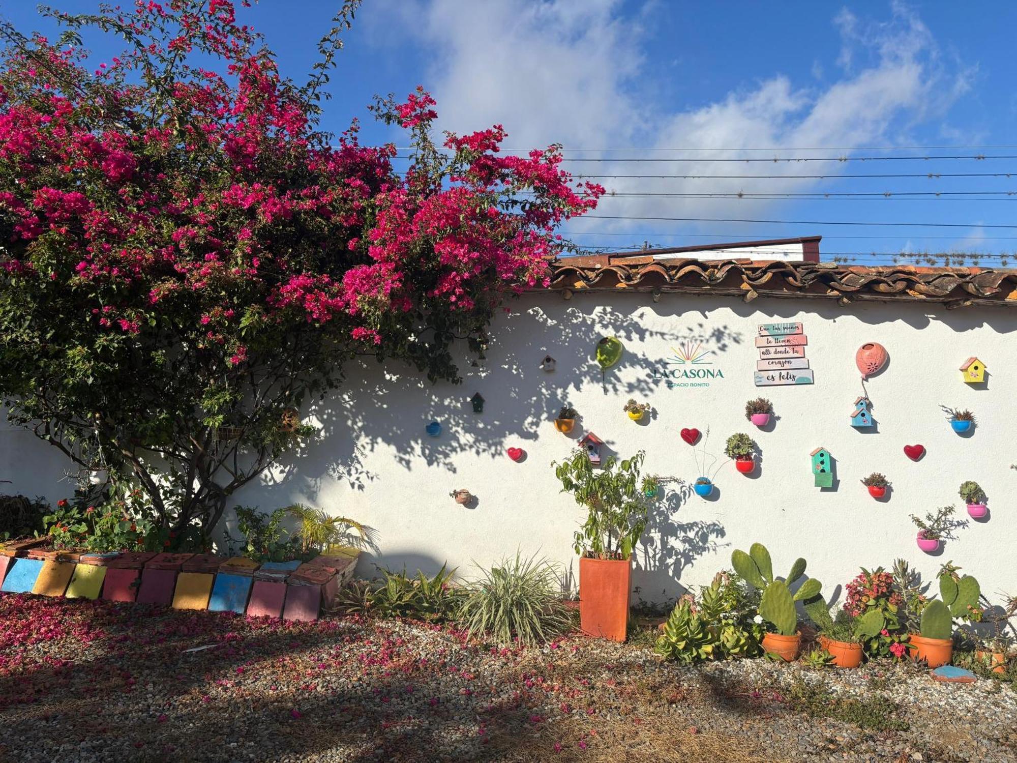 La Casona Espacio Bonito サパトカ エクステリア 写真